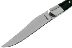 Amefa Royal Steak 2520 Couteaux à Steak, 6 Pièces Dans Un Coffret Cadeau Aimanté 8 Amefa Royal Steak 2520 Couteaux à Steak, 6 Pièces Dans Un Coffret Cadeau Aimanté -Victokai Boutique AM2520AAMB20K35 03 amefa