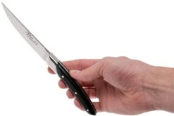 Claude Dozorme Le Thiers Coffret De Couteaux à Steak 6 Pièces, Ébène -Victokai Boutique CD5 90 001 70MI 08 claude dozorme cd5 90 001 70mi 08