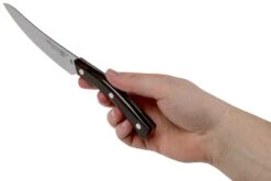 Due Cigni Arne Line Couteau à Steak 11 Cm, Ziricote -Victokai Boutique DG2C900ZW 06 due cigni arne