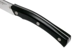 Due Cigni Arne Line Couteau D'office 10 Cm, Noir -Victokai Boutique DG2C901 05 due cigni arne