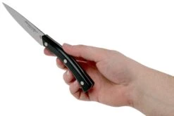 Due Cigni Arne Line Couteau D'office 10 Cm, Noir -Victokai Boutique DG2C901 06 due cigni arne