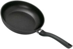 Fissler Cenit Induction 045-301-24-100, 24 Cm Poêle à Frire