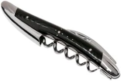 Forge De Laguiole SOMTCNOI Couteau Sommelier Micarta Poli