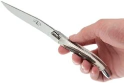 Forge De Laguiole, T22MINCFBRI, Corne De Cerf -Victokai Boutique LAT22MINCFBRI 07 forge de laguiole steakmesset lat22mincfbri 07