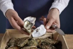 Couteau à Huîtres Opinel N°09 13 Couteau à Huîtres Opinel N°09 -Victokai Boutique OP001616 07 opinel oestermes op001616 08