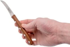 Robert Herder K0 Couteau Bec D'oiseau Prunier & Acier Inoxydable, 9731166504 -Victokai Boutique RH9731166504 06 robert herder rh9731166504 06