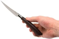 Saladini Ensemble 6 Pièces Couteaux à Steak 23 Cm, Wenge -Victokai Boutique SL4001PW6 07 saladini sl4001pw6 07