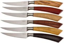 Saladini Ensemble 6 Pièces Couteaux à Steak 23 Cm, Ensemble Cadeau