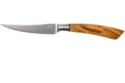 Saladini Ensemble 6 Pièces Couteaux à Steak 23 Cm, Ensemble Cadeau -Victokai Boutique SL4001VL6 03 saladini sl4001vl6 03