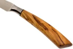 Saladini Ensemble 6 Pièces Couteaux à Steak 23 Cm, Ensemble Cadeau -Victokai Boutique SL4001VL6 06 saladini sl4001vl6 06