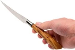 Saladini Ensemble 6 Pièces Couteaux à Steak 23 Cm, Ensemble Cadeau -Victokai Boutique SL4001VL6 08 saladini sl4001vl6 08