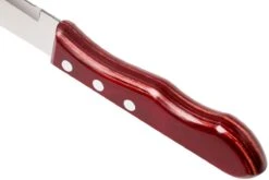 Tramontina Churrasco Set De 6 Couteaux à Steak Jumbo, 29899-164 -Victokai Boutique TC29899 164 04 tramontina churasso tc29899 164 04