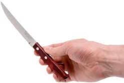 Tramontina Churrasco Set De 12 Couverts à Steak, 29899-219 8 Tramontina Churrasco Set De 12 Couverts à Steak, 29899-219 -Victokai Boutique TC29899 219 04 tramontina churasso tc29899 219 04