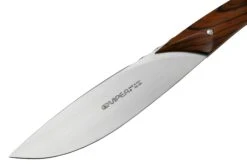 Viper Fiorentina VT7500-02CB Bois De Cocobolo, Set De 2 Couteaux à Steak -Victokai Boutique VPVT7500 02CB 03 viper