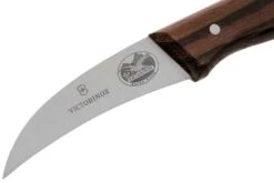 Victorinox Wood 5.3100 Couteau Bec D'oiseau, 6 Cm -Victokai Boutique VT5 3100 03 victorinox