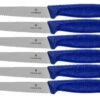 Victorinox SwissClassic 6.7232.6, Set De 6 Couteaux à Steak, Bleu