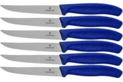 Victorinox SwissClassic 6.7232.6, Set De 6 Couteaux à Steak, Bleu