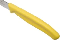 Victorinox SwissClassic Couteaux à Légumes Jaunes 10 Cm, Set De 2 Dont 1 Normal Et 1 Dentelé, VT6-7796-L8B -Victokai Boutique VT6 7796 L8B 04 victorinox swissclassic