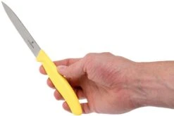 Victorinox SwissClassic Couteaux à Légumes Jaunes 10 Cm, Set De 2 Dont 1 Normal Et 1 Dentelé, VT6-7796-L8B -Victokai Boutique VT6 7796 L8B 05 victorinox swissclassic