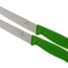 Victorinox SwissClassic Couteaux à Steak/pizza Vert, Set De 2, 6.7936.12L4B