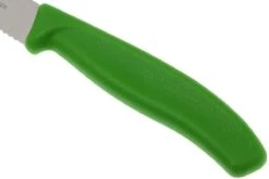 Victorinox SwissClassic Couteaux à Steak/pizza Vert, Set De 2, 6.7936.12L4B -Victokai Boutique VT6 7936 12L4B 03 victorinox steakmes groen vt vt6 7936 12l4b 03