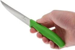 Victorinox SwissClassic Couteaux à Steak/pizza Vert, Set De 2, 6.7936.12L4B -Victokai Boutique VT6 7936 12L4B 04 victorinox steakmes groen vt vt6 7936 12l4b 04