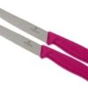 Victorinox SwissClassic Couteaux à Steak/pizza Rose, Set De 2, 6.7936.12L5B
