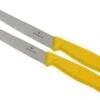 Victorinox SwissClassic Couteaux à Steak/pizza Jaune, Set De 2 6.7936.12L8B