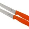 Victorinox SwissClassic Couteaux à Steak/pizza Orange Set De 2 6.7936.12L9B