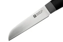 Zwilling Now S 1009646 Couteau à Légumes, 9 Cm -Victokai Boutique ZW1009646 03 zwilling