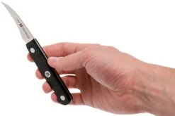 Zwilling Gourmet Couteau à éplucher Bec D'oiseau 6 Cm, 36110-061 -Victokai Boutique ZW36110 061 0 06 zwilling gourmet zw36110 061 0 06