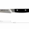Zwilling 38400-091 Pro Couteau à Légumes